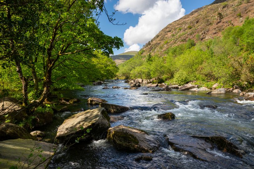 'Most beautiful walk in Wales' with ancient woodland and rocky river gorge