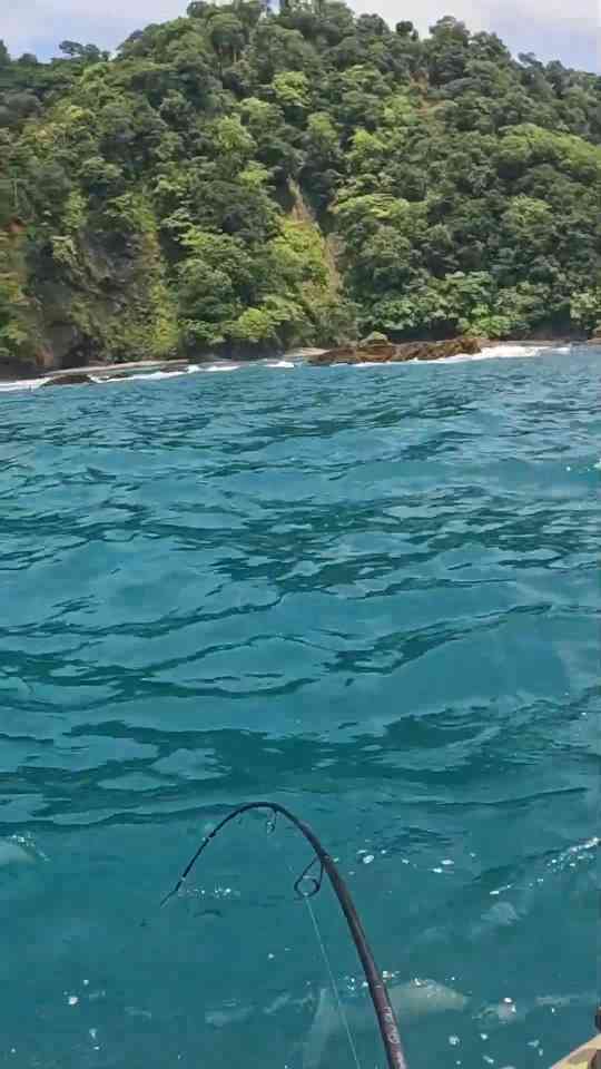 Fish of a lifetime on a bucktail jig! Kayak fishing