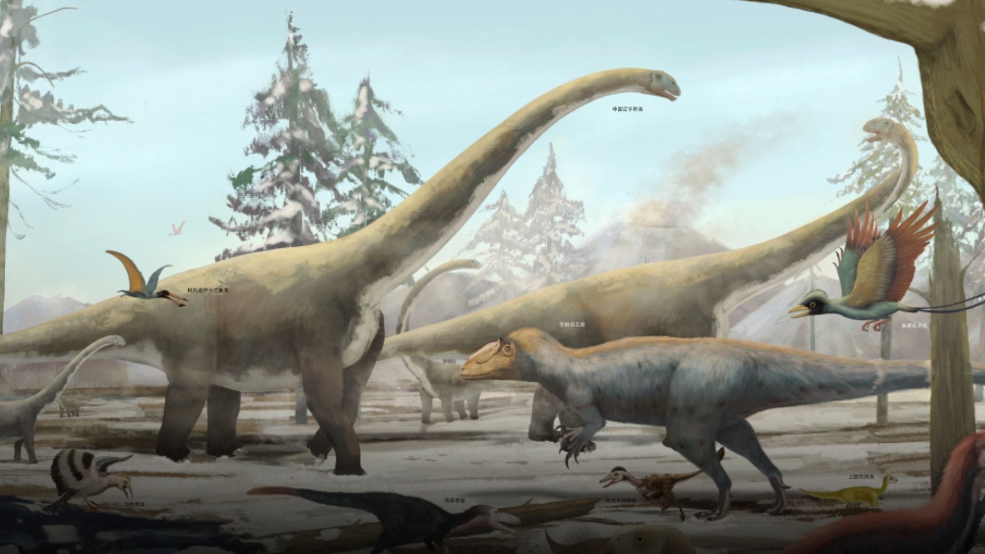 Chinese fossil fills gap in early evolutionary history of birds
