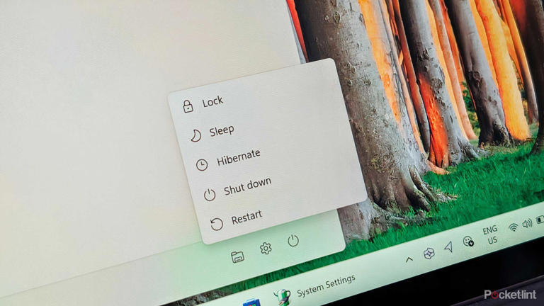 Windows 11 power options.
