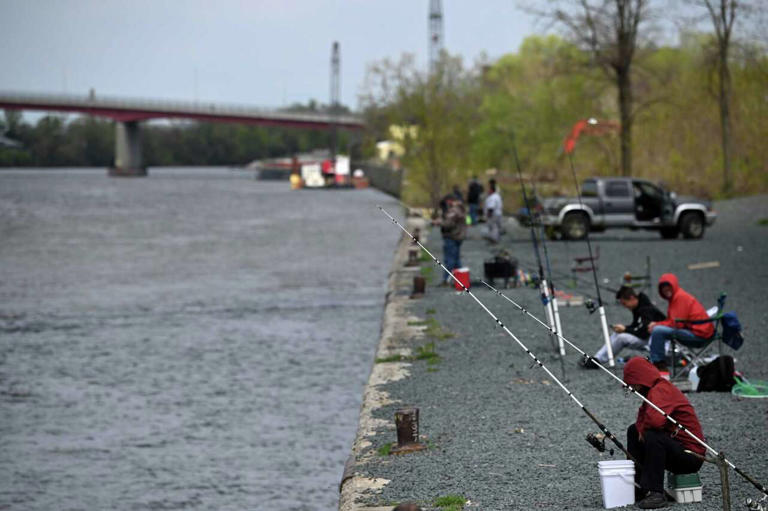 Catchable striped bass will fall significantly by 2030, state says