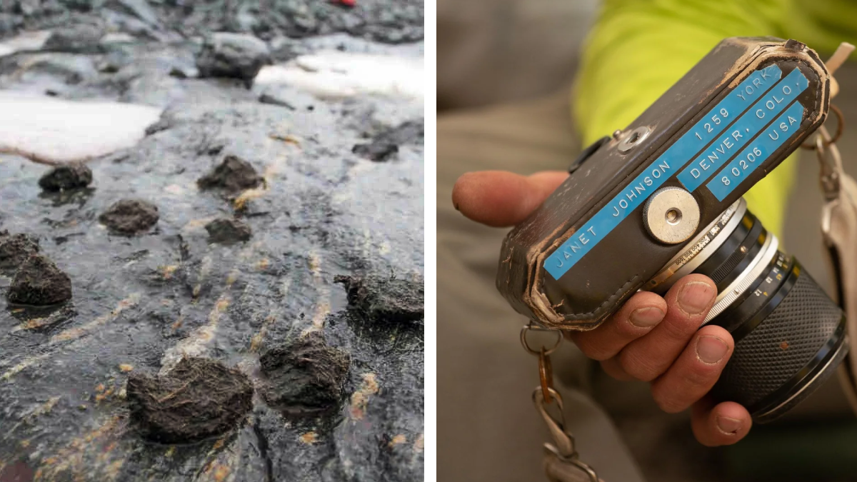 15 bizarre objects found perfectly preserved in glaciers, and how they ...