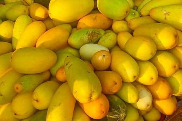 Resep es timun suri, minuman segar penghilang dahaga untuk buka puasa