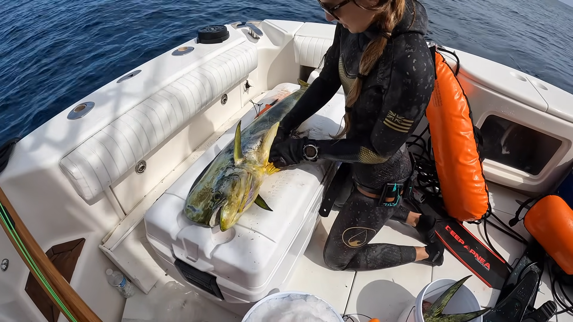 When Baja turns chaotic without warning