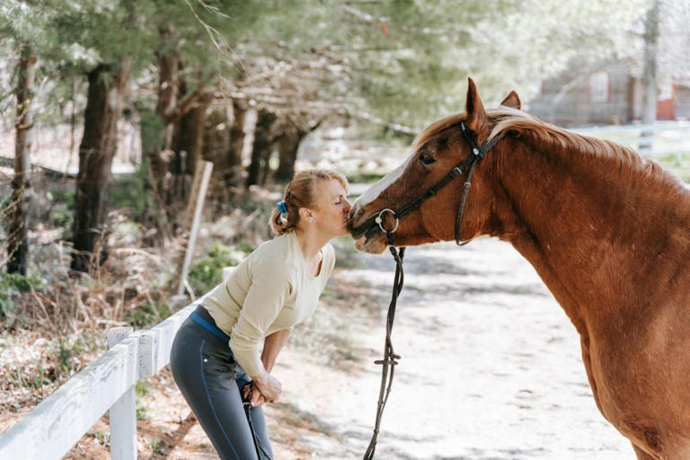Horse behavior influenced by smell of fear