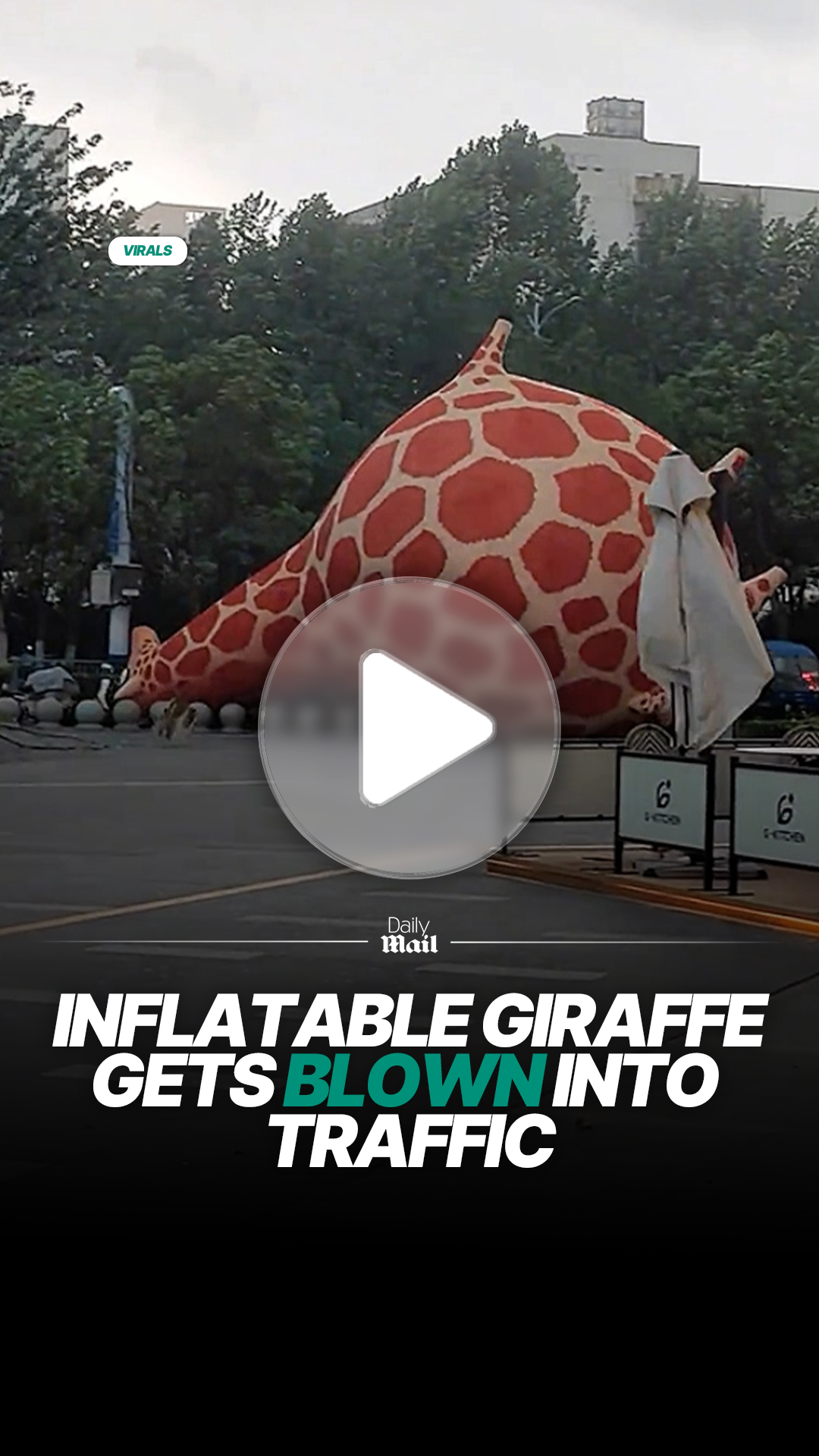 Inflatable giraffe blows into traffic during windy conditions
