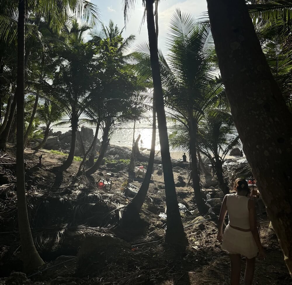 Passerby shares photo of disturbing scene at popular beach: 'Disgusted'