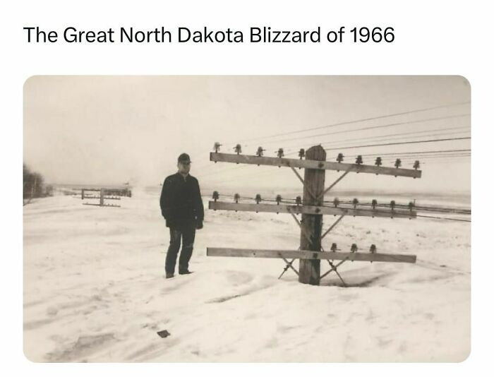 Historical Records: 41 Notable Facts For Every History Lover