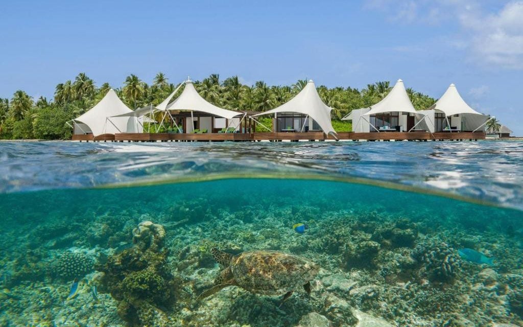 W Maldives