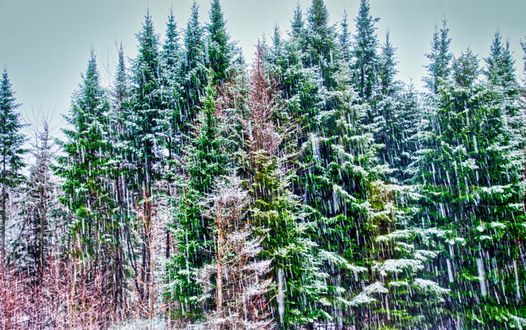 Meteorologist reveals dramatic snowfall gap between Vermont and Colorado