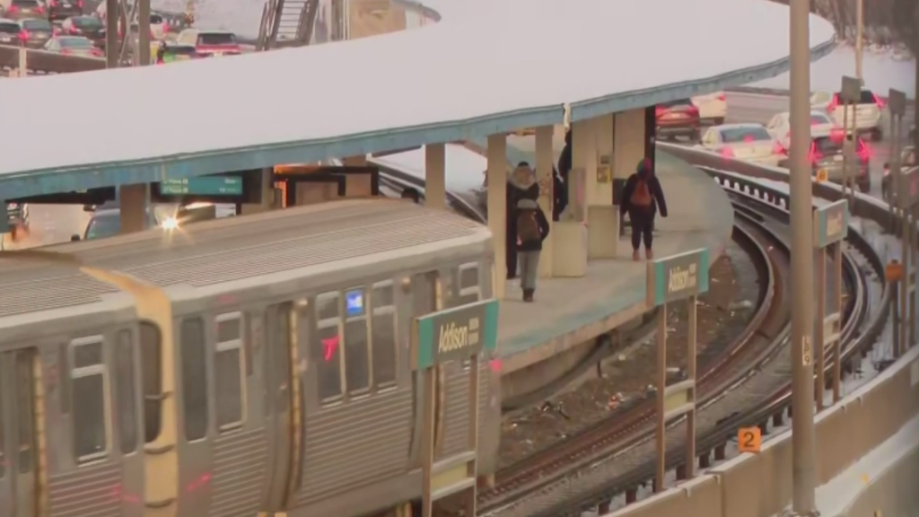 Woman cut during fight on CTA Blue Line train in Irving Park community