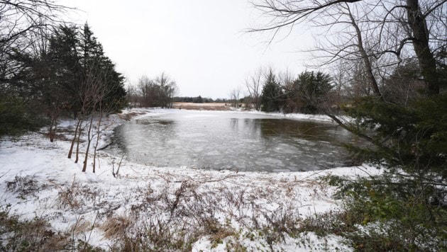 In diesem Teich starben drei Brüder, sie waren erst sechs, acht und neun Jahre alt.