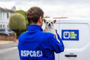 Animal neglect hits five-year high as RSPCA recruits new rescue ...