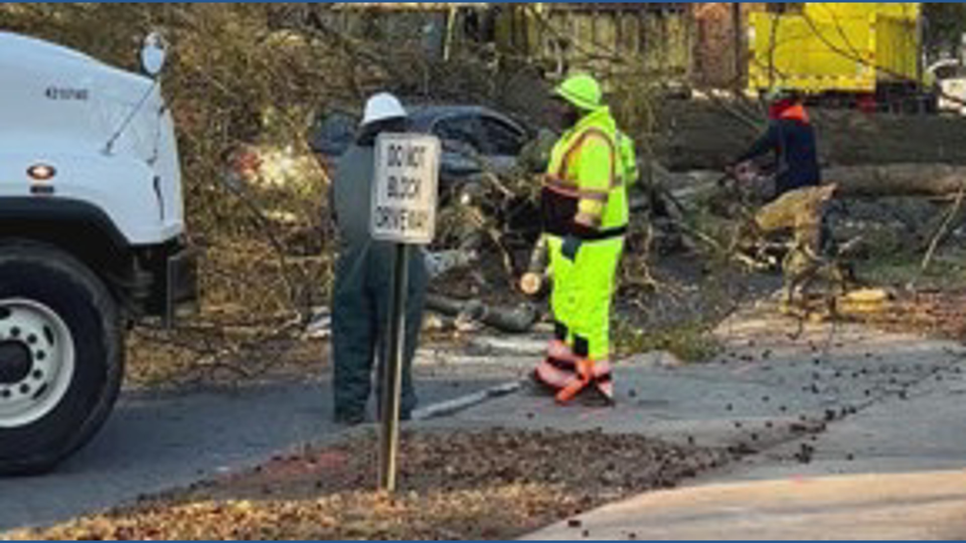 Tree crews working on Ponce
