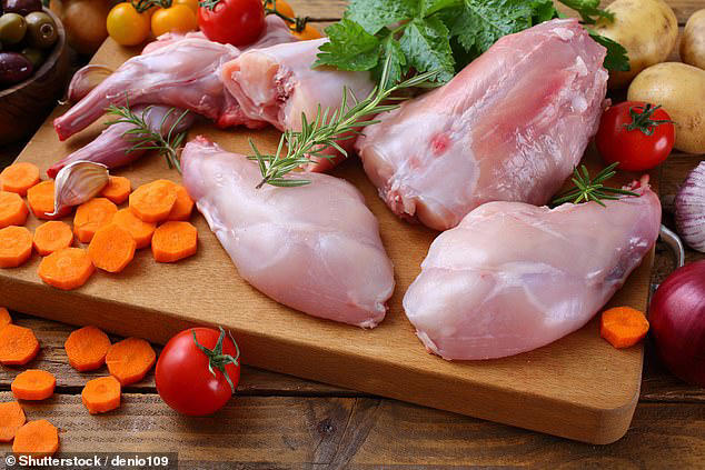 Chicken or beef... or crocodile? These are the best meats for your ...
