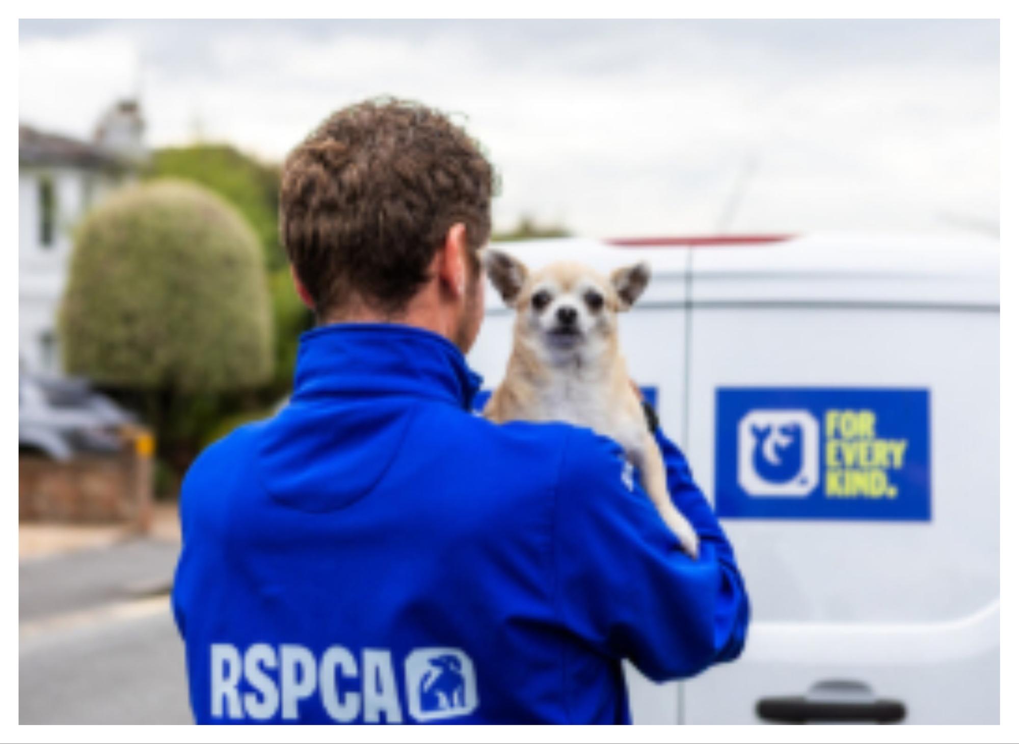 RSPCA launches search for new animal rescue officers in South Yorkshire