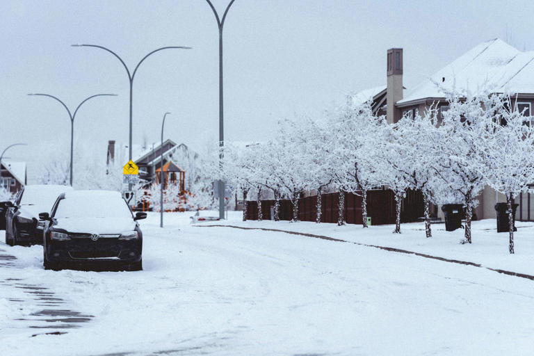 93-year-old woman dies from winter storm a block outside her South ...