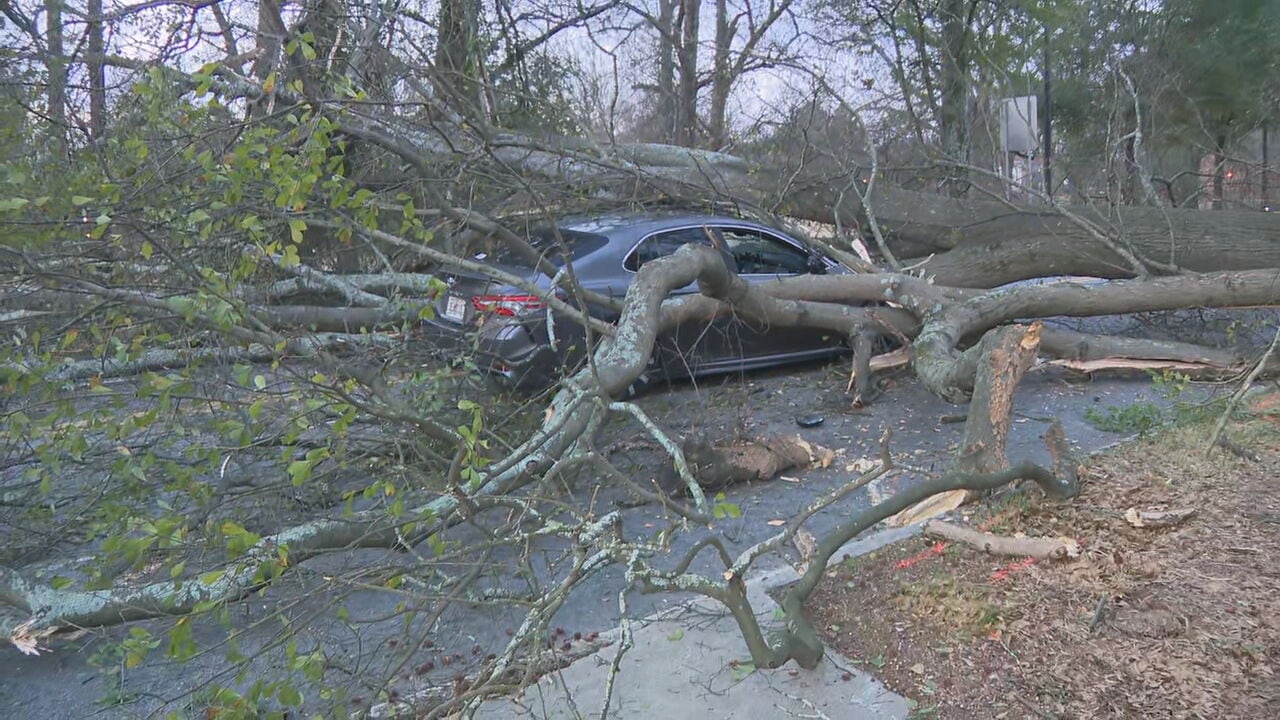 Large tree falls across Ponce de Leon Ave, lands on top of rideshare ...