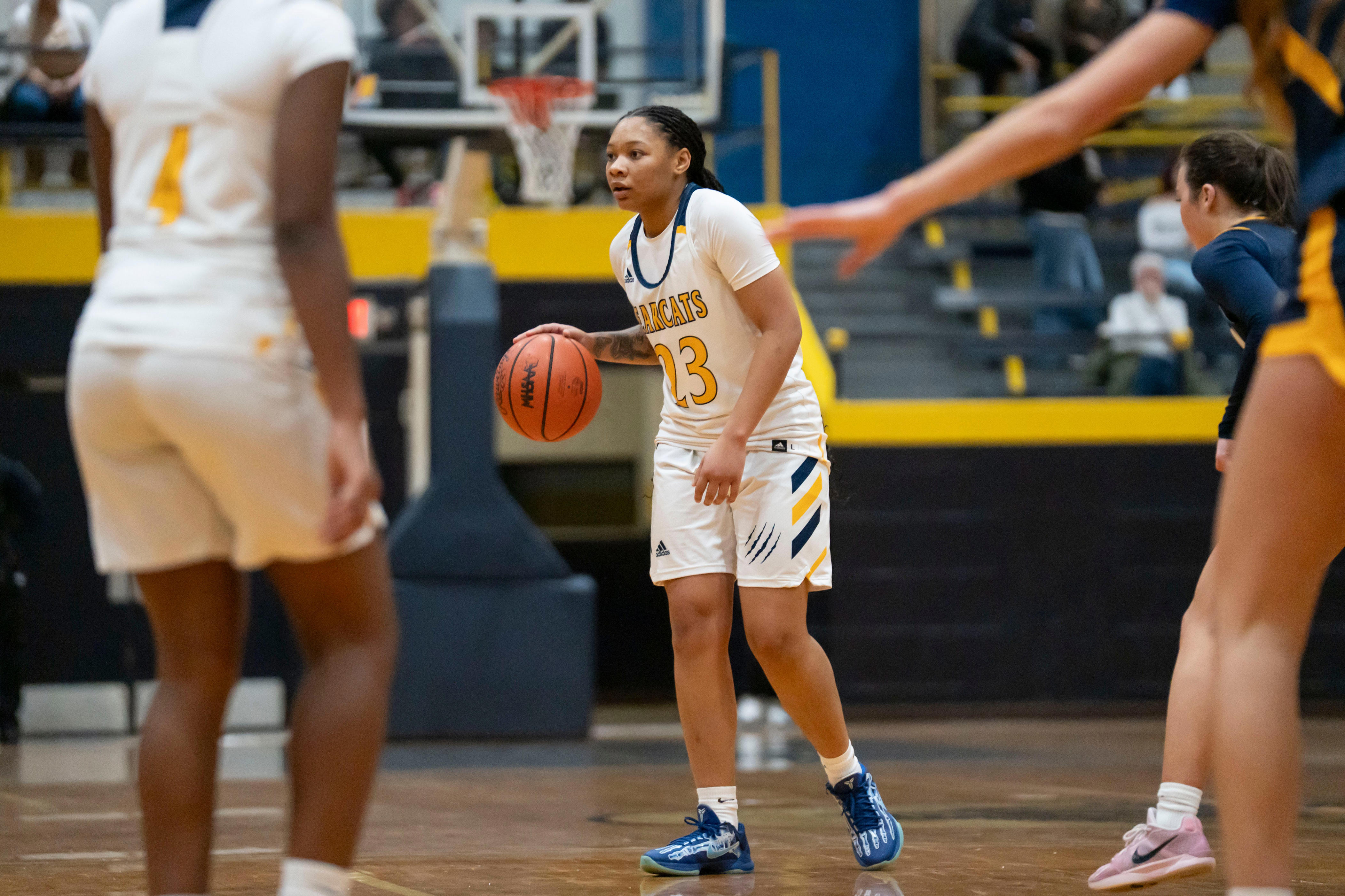 Vote Enquirer high school midseason girls basketball player of the year