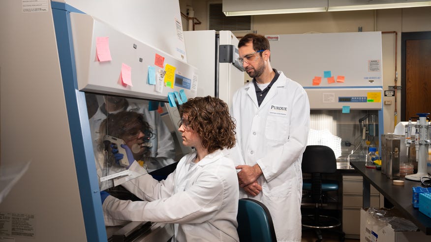 Purdue team finds new target for triple negative breast cancer