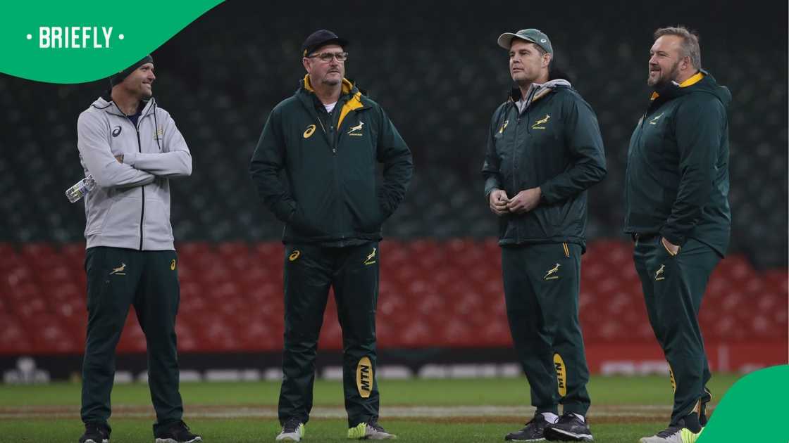 Springboks coaches back World Rugby’s high-ball law changes amid ...