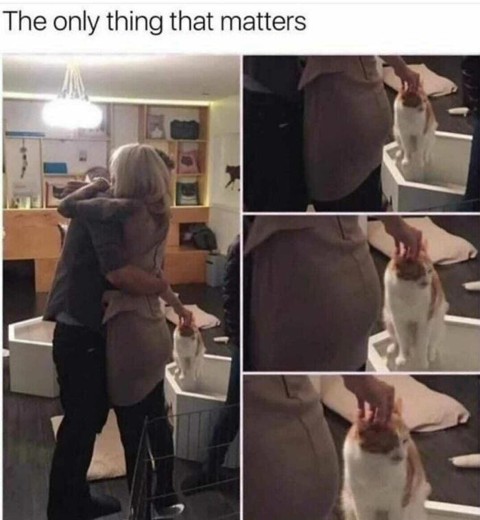This Facebook page is all about random memes, here is a selection of ...
