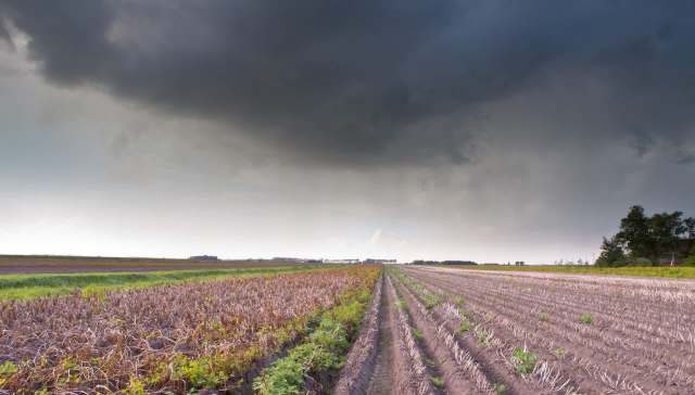 Farmers devastated as harsh weather destroys staple food crops — here's ...
