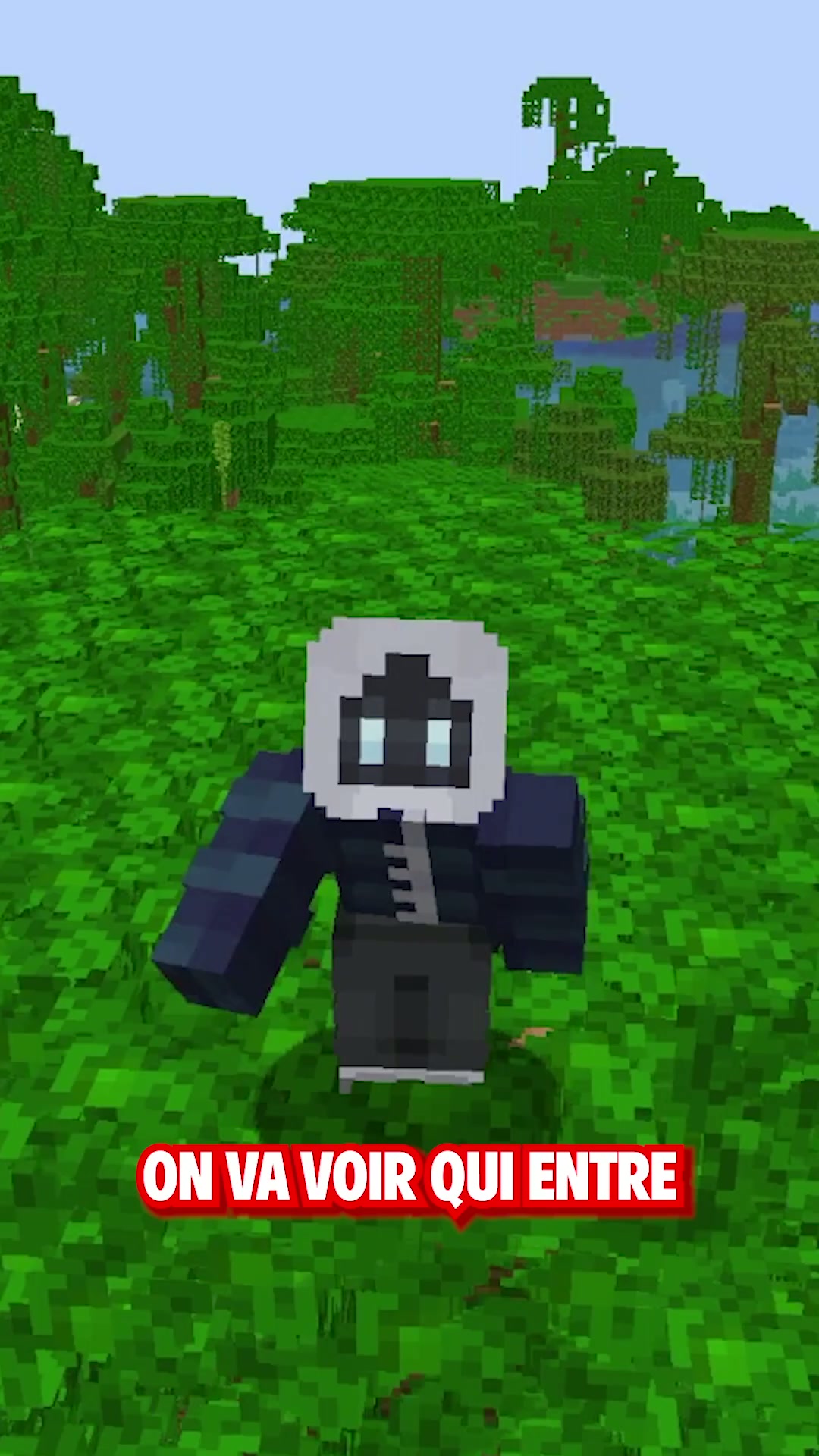 Minecraft vs Roblox (c'est vous qui votez!)