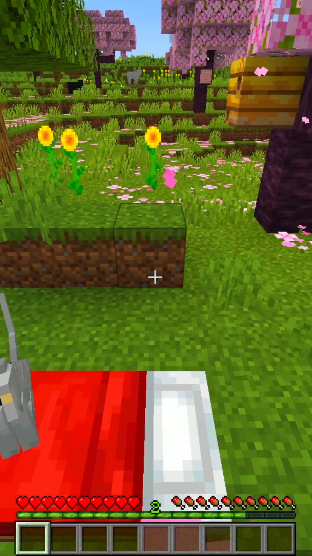 El video más controversial que hice en Minecraft (esta vez sí)