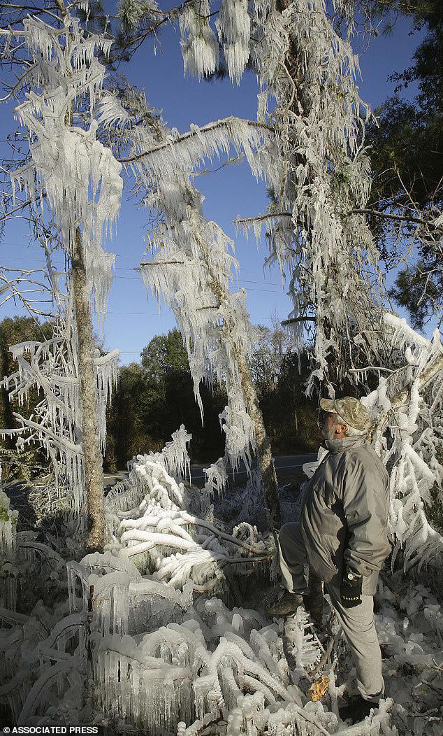 Monster storm to bring freezing temperatures to Miami as cold snap ices ...