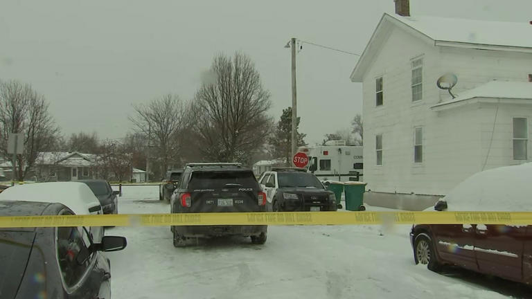 Joliet man charged with murder in shooting deaths of mother, 4-year-old ...