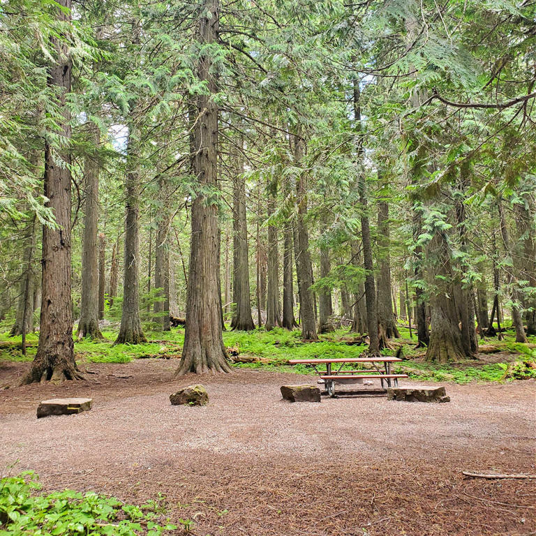 camp-under-the-big-trees-at-avalanche-glacier-s-popular-going-to-the