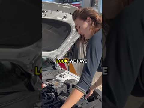 Inspecting car fluids made quick and easy