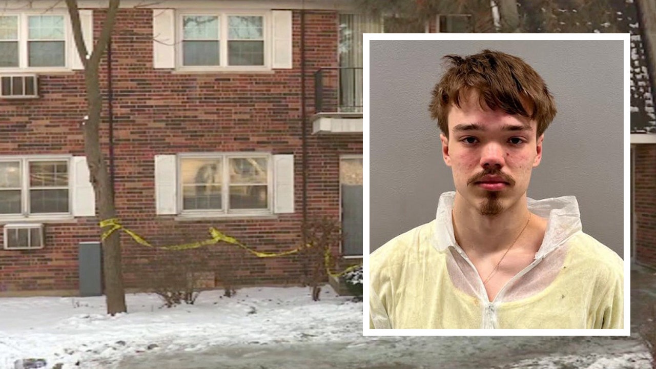 Pregnant woman stabbed 70 times in deadly Downers Grove apartment fire ...