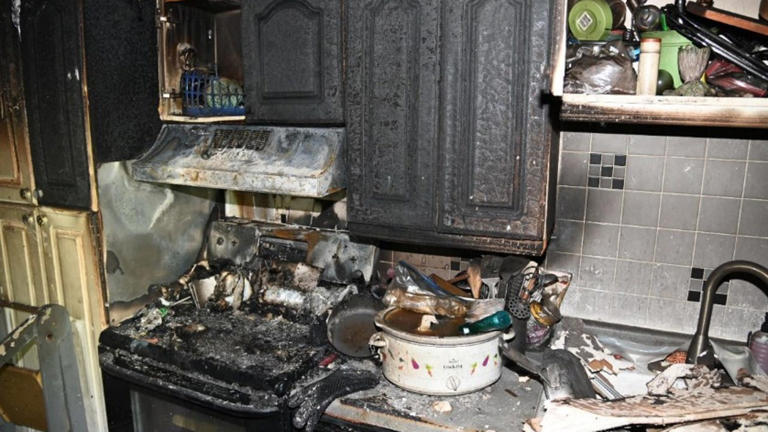 Pregnant woman stabbed 70 times in deadly Downers Grove apartment fire ...