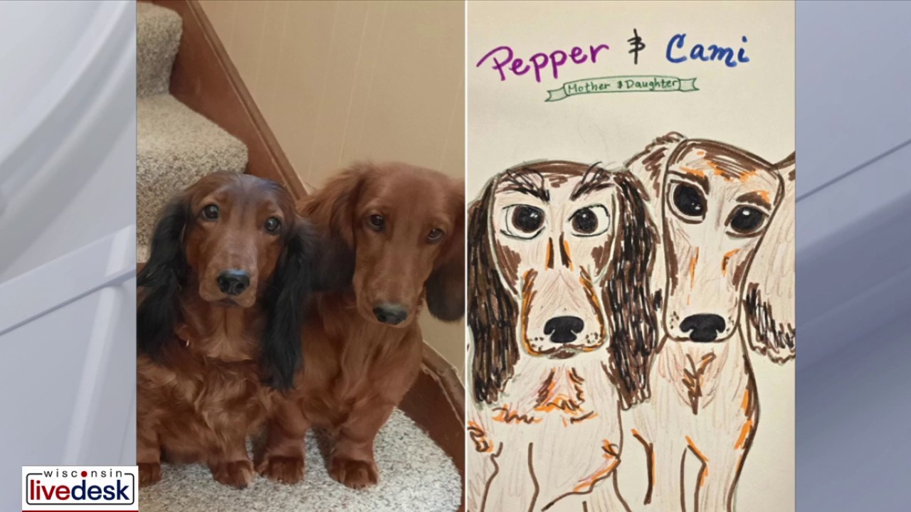 Wisconsin Humane Society 'Poorly Drawn Pets' fundraiser