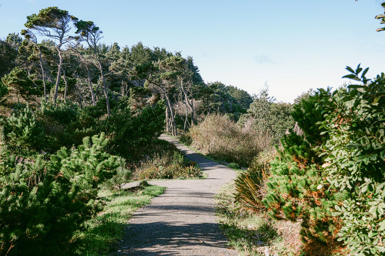 Mendocino Botanical Garden
