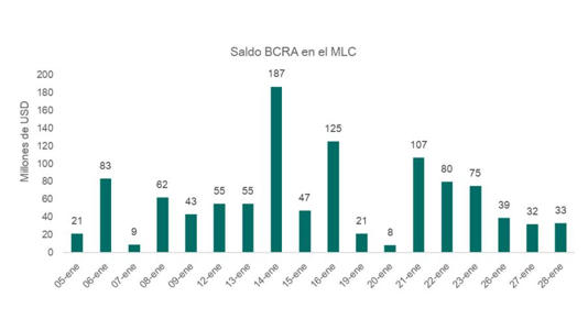 Reservas Banco Central 28012026