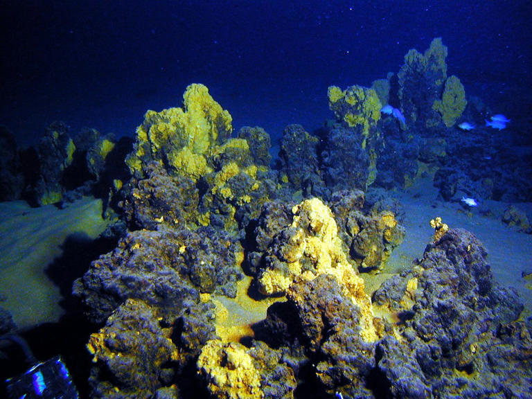 Submarine mountains and long-distance waves stir the deepest parts of ...