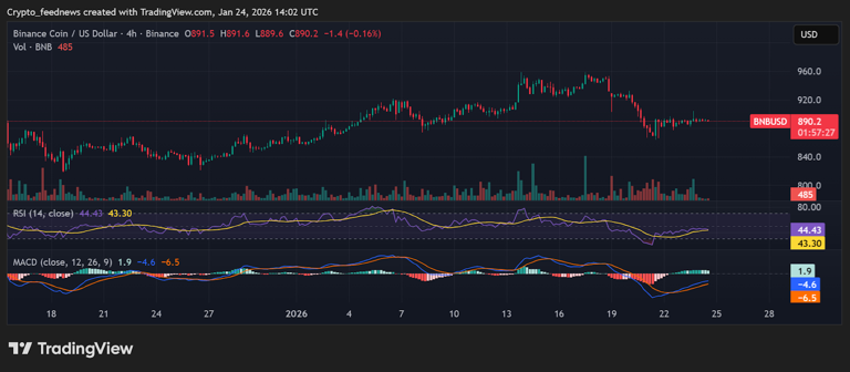 Best cryptos to buy now in 2026 before 1,000% gains