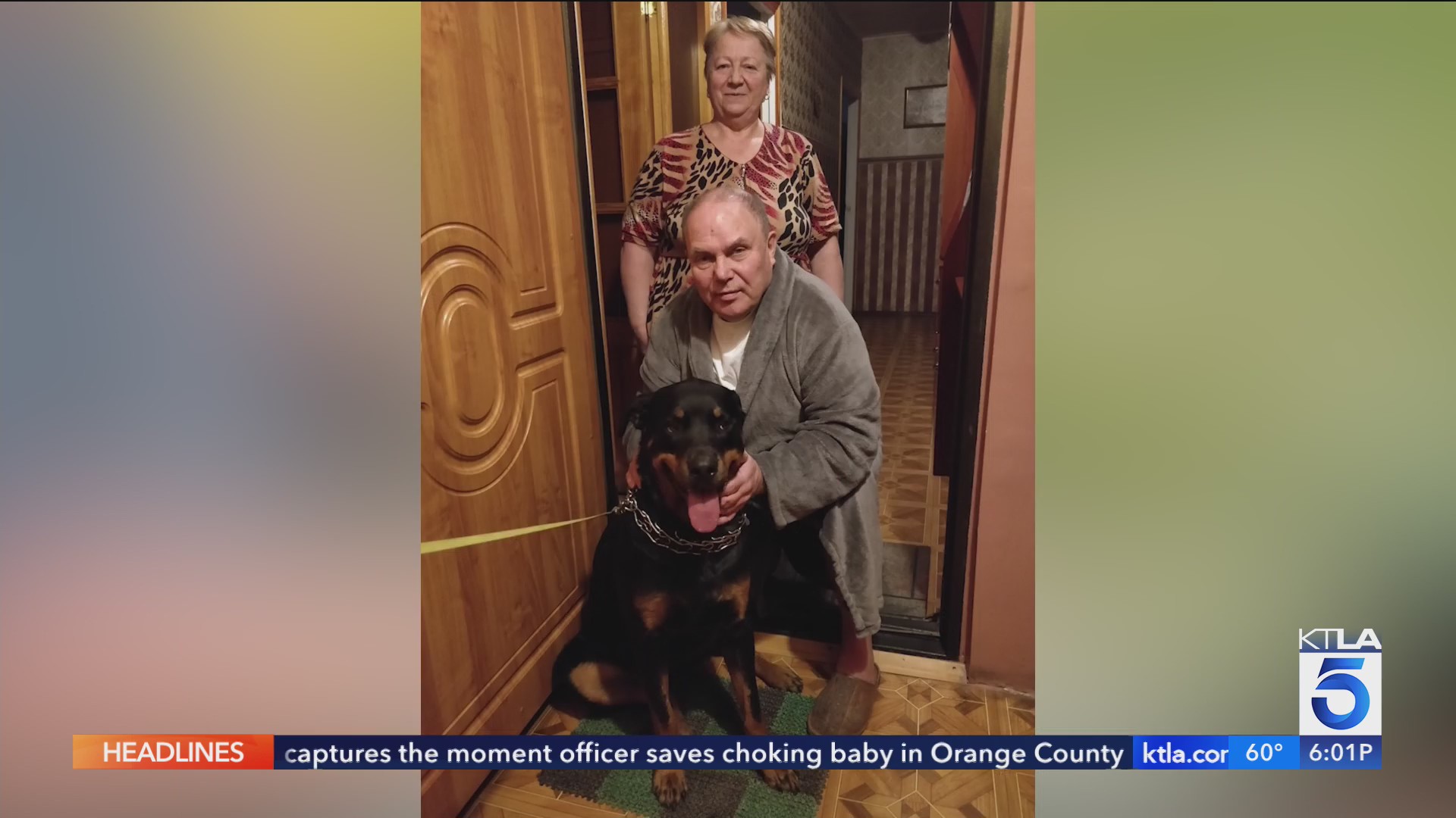 Elderly man and his dog killed by hit-and-run driver in LA