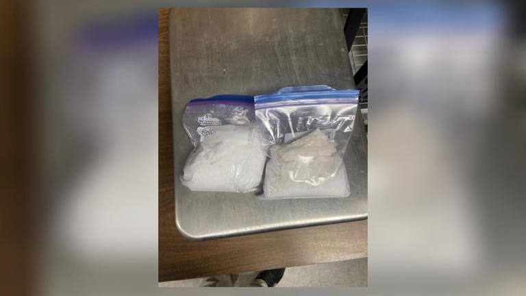 Local man arrested after deputies find 2 pounds of meth, cash during ...