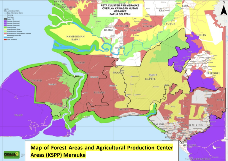 Indonesia fast-tracks final permit for Papua rice megaproject without ...