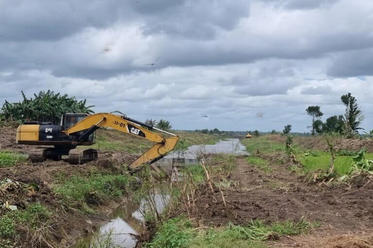 Indonesia fast-tracks final permit for Papua rice megaproject without ...
