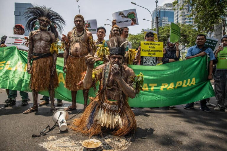 Indonesia fast-tracks final permit for Papua rice megaproject without ...
