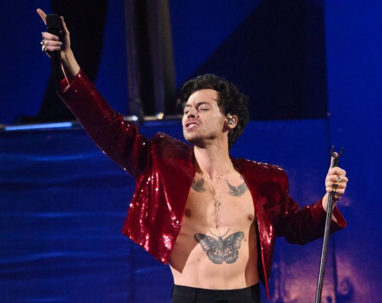 Harry Styles has fooled the music industry – his secret? Being a man