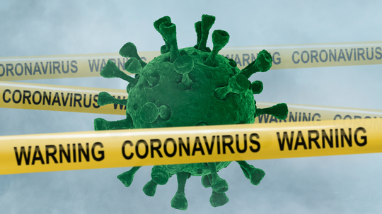 Two viruses that could trigger the next global pandemic