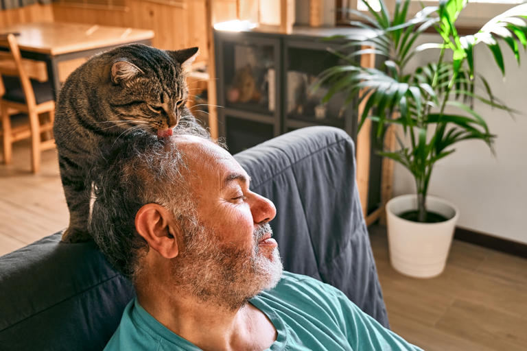 If your cat licks you all the time, here’s the reason