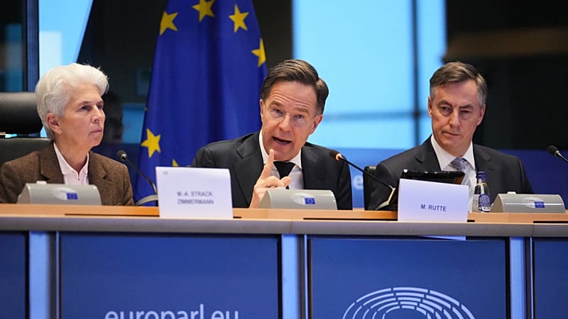 'Rutte is right': Europe can't win without the US, says former US NATO ...