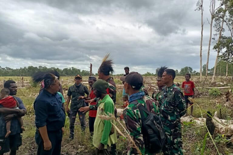 Indonesia fast-tracks final permit for Papua rice megaproject without ...